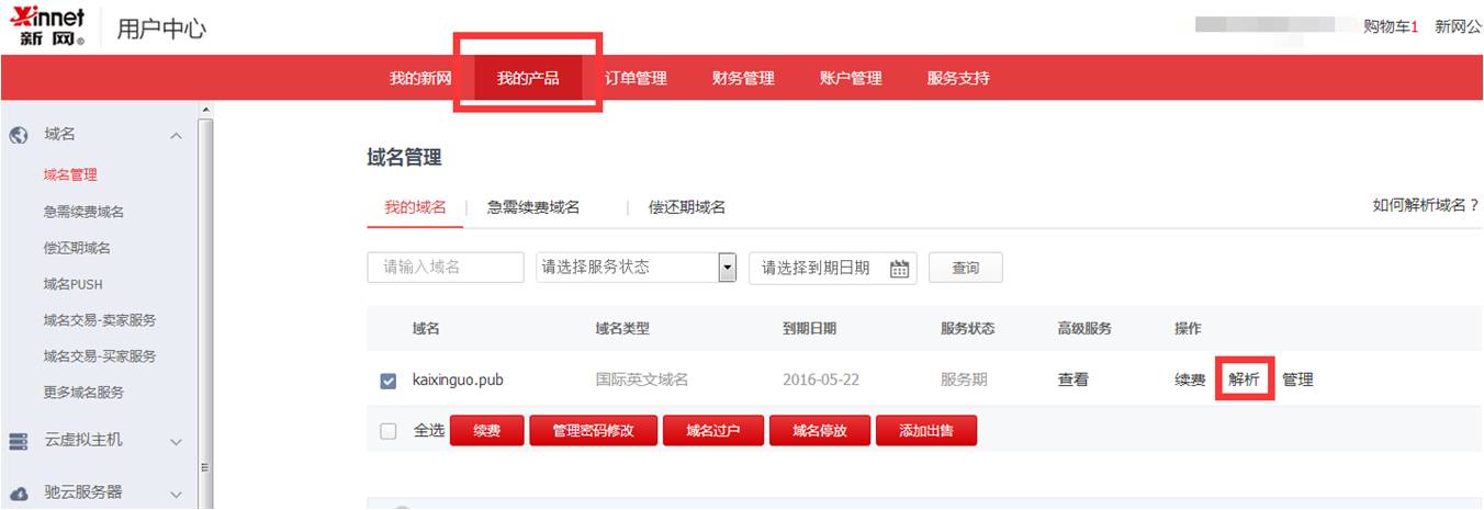 新網域名解析