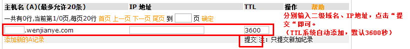新網域名解析