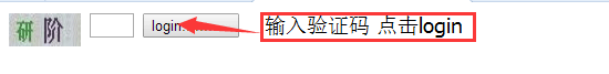 ¾W޸DNS̳