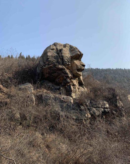 濟南現獅身人面像 或形成于25億年前的真·大自然鬼斧神工